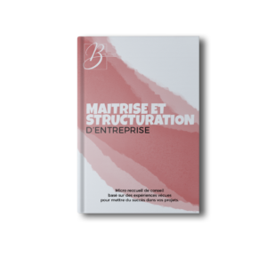 Maitrise et Structuration D'entreprise